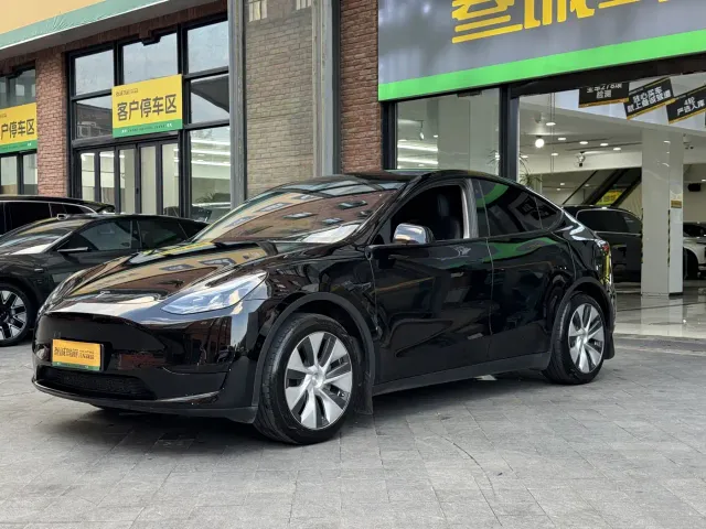 Tesla Model Y — Фото автомобиля 4