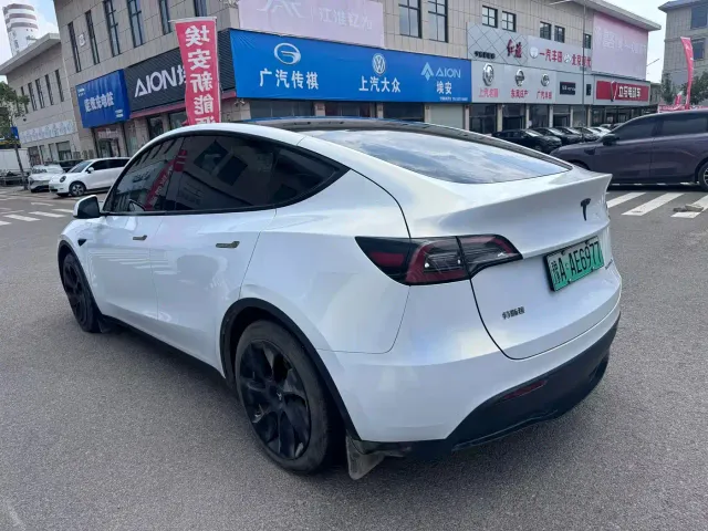 Tesla Model Y — Фото автомобиля 2