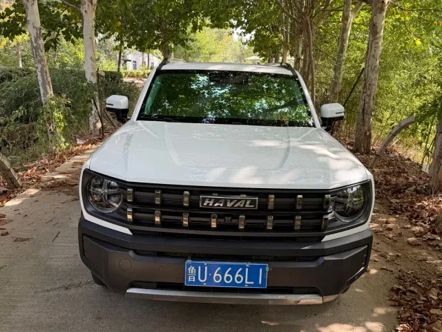 Фотография автомобиля — Haval Cool Dog