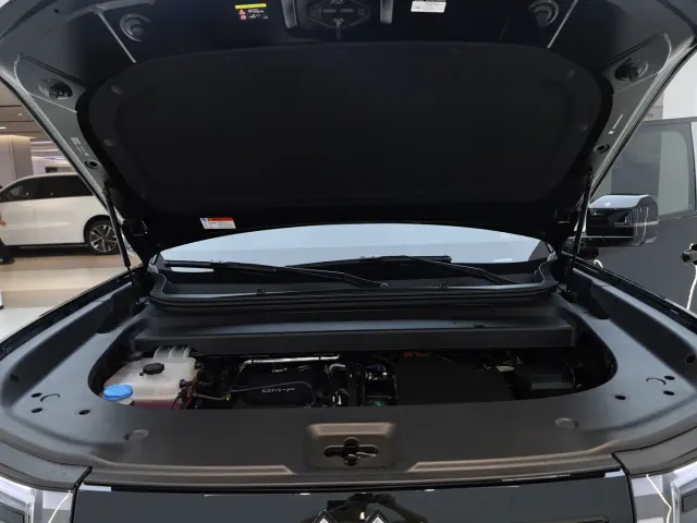 BYD FangChengBao Titanium 7 — Фото автомобиля 28