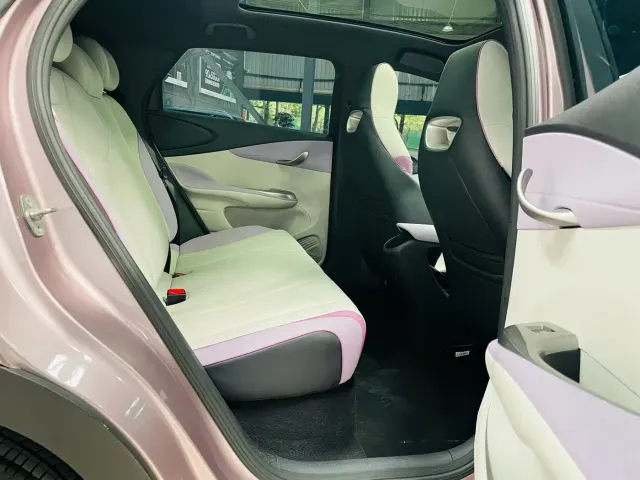 BYD Dolphin — Фото автомобиля 21
