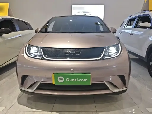 BYD Dolphin — Фото автомобиля 2