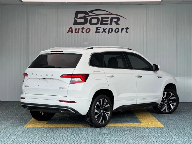 Skoda Karoq — Фото автомобиля 5