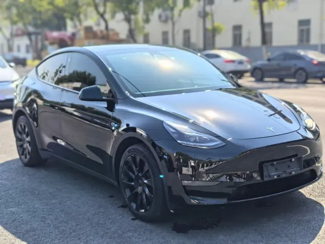 Tesla Model Y — Фото автомобиля 3