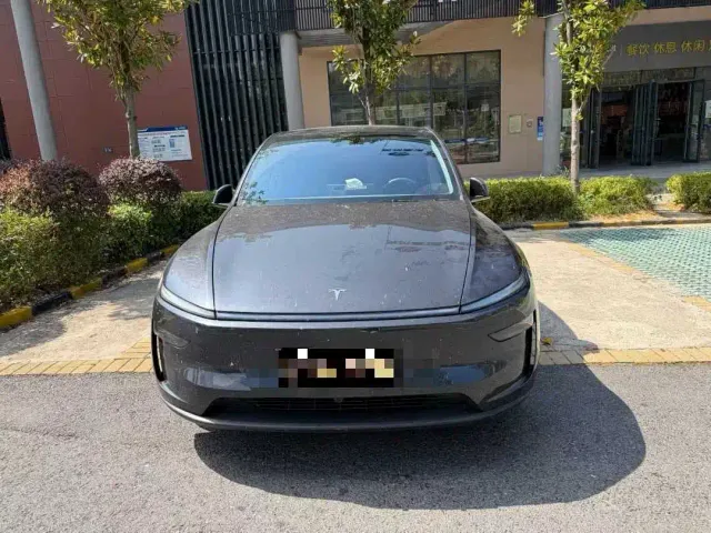 Tesla Model Y — Фото автомобиля 2