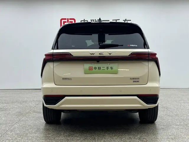 Wey Lanshan — Фото автомобиля 4