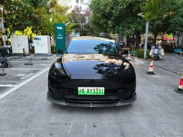 Tesla Model Y — Фото автомобиля 2