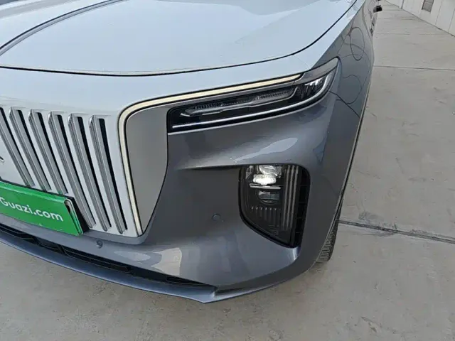 Hongqi E-HS9 — Фото автомобиля 23