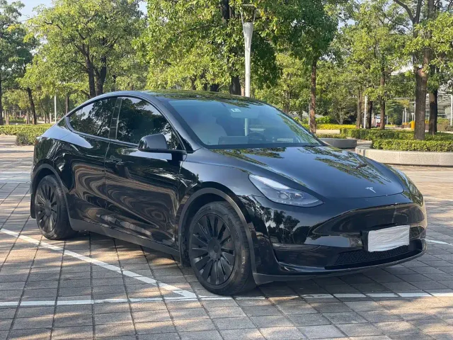 Tesla Model Y — Фото автомобиля 2