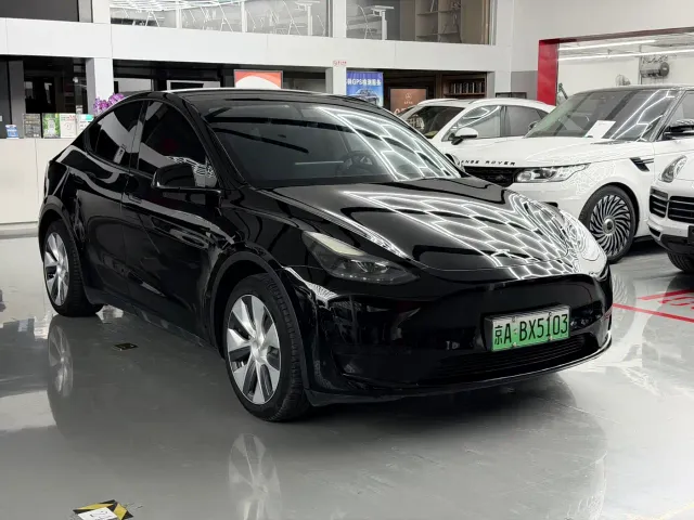 Tesla Model Y — Фото автомобиля 3