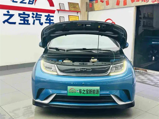 BYD Dolphin — Фото автомобиля 27