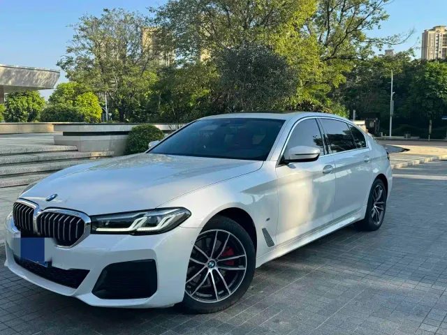 BMW 5 Series — Фото автомобиля 8