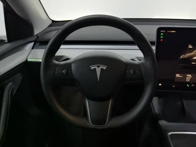 Tesla Model Y — Фото автомобиля 11