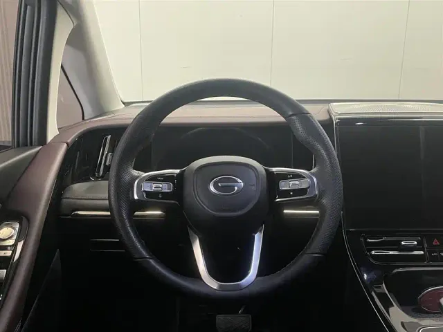 GAC Trumpchi M8 — Фото автомобиля 13
