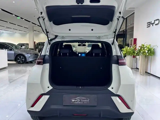 BYD Seagull — Фото автомобиля 11