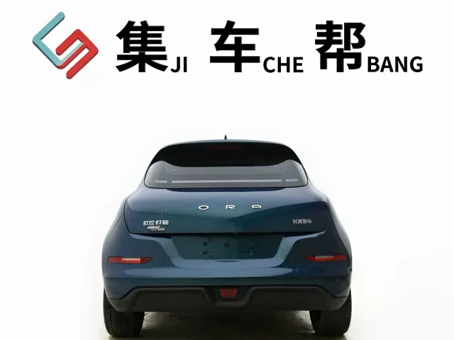 Ora Ora Good Cat 2024 501km Premium — Фото автомобиля 4