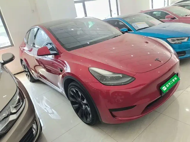 Tesla Model Y — Фото автомобиля 3