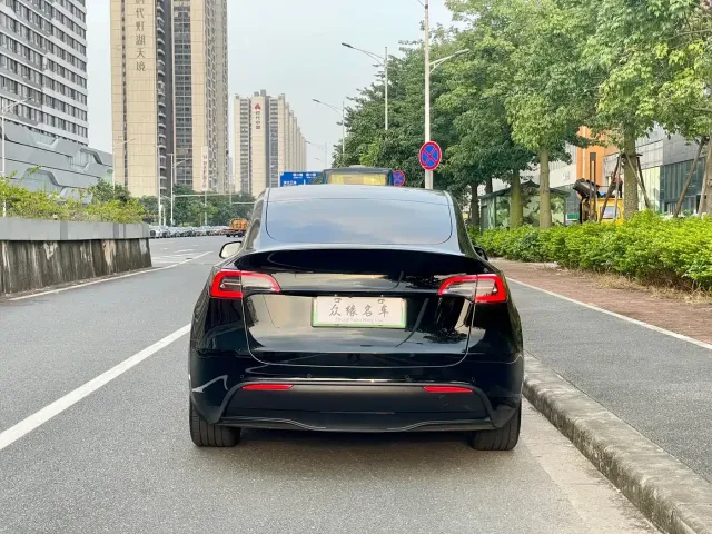 Tesla Model Y — Фото автомобиля 6
