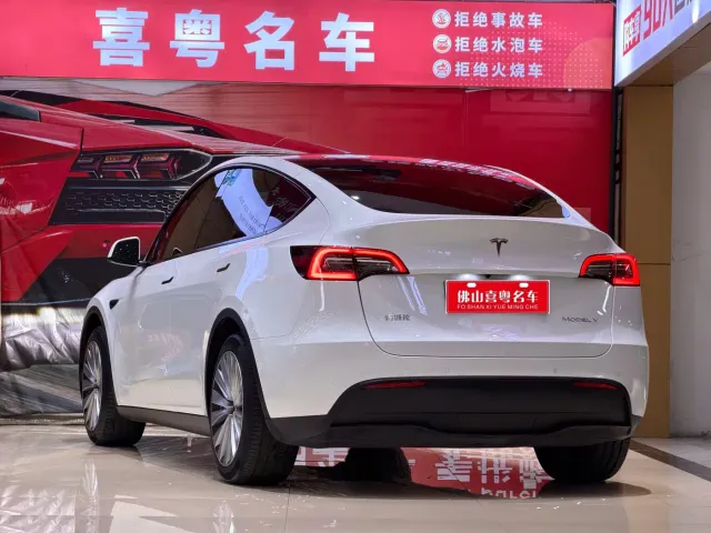 Tesla Model Y — Фото автомобиля 2