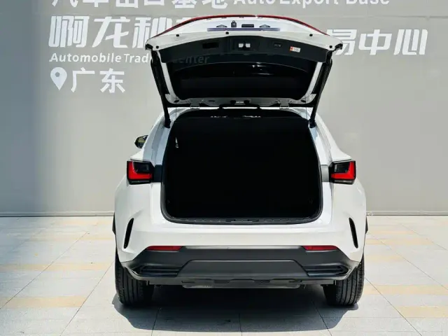 Lexus NX — Фото автомобиля 16