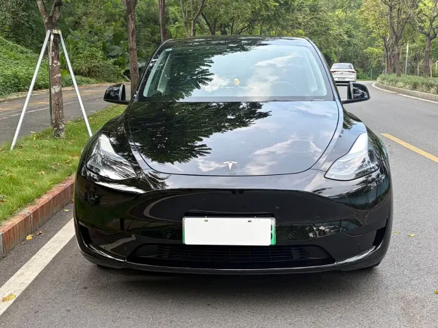Tesla Model Y — Фото автомобиля 2