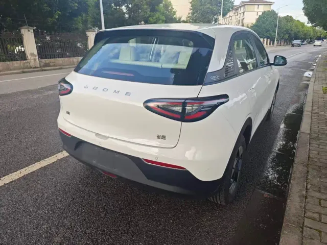 Geely Starry Wish — Фото автомобиля 5