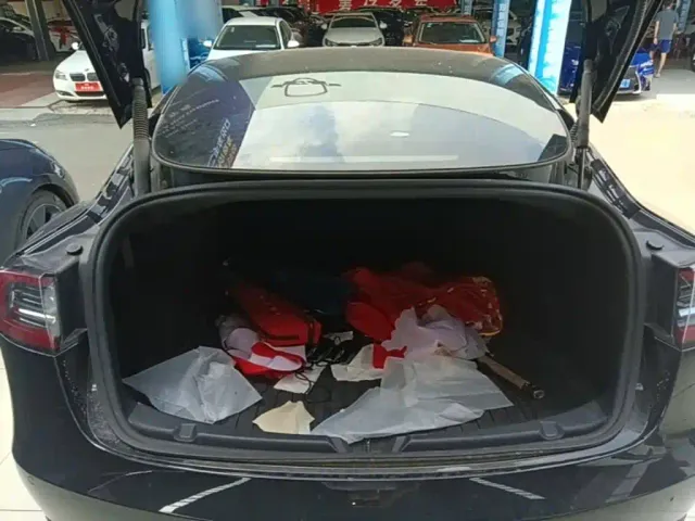 Tesla Model 3 — Фото автомобиля 18