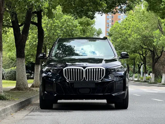 BMW X5 — Фото автомобиля 2