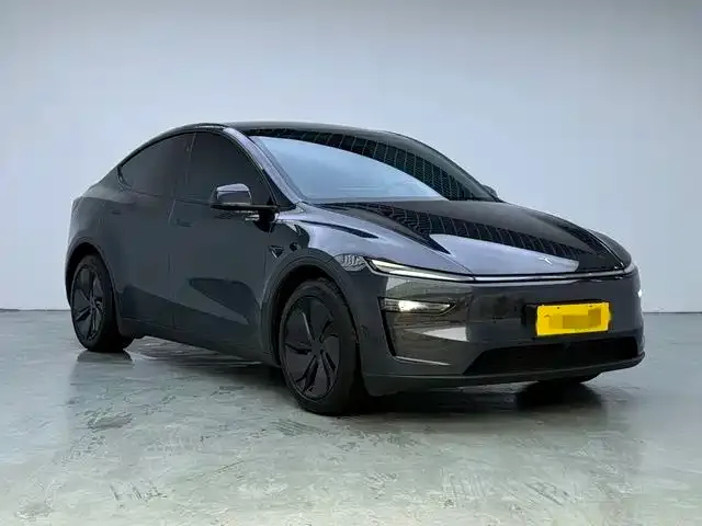 Tesla Model Y — Фото автомобиля 3