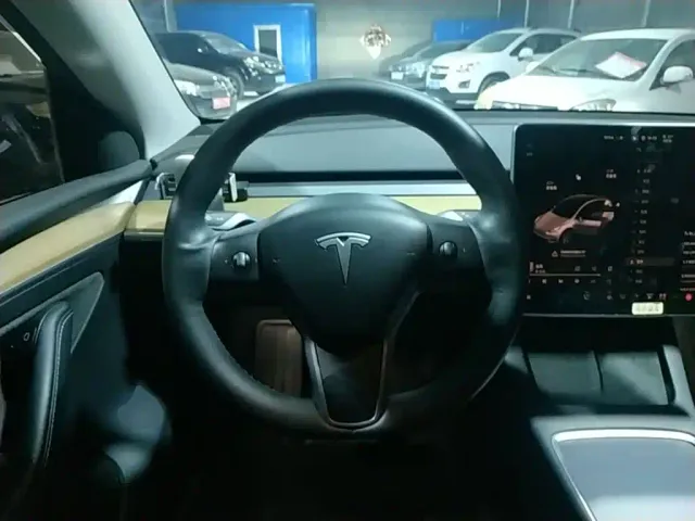 Tesla Model Y — Фото автомобиля 10