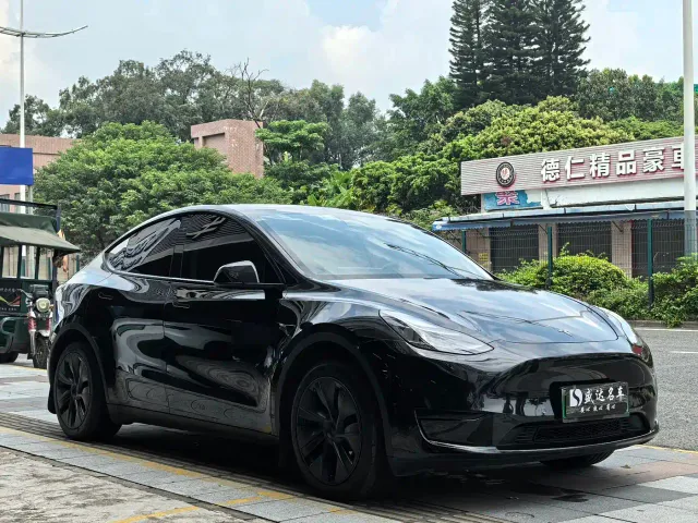 Tesla Model Y — Фото автомобиля 3
