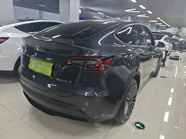 Tesla Model Y — Фото автомобиля 6
