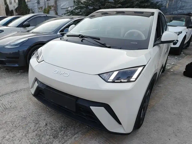 Фотография автомобиля — BYD Seagull