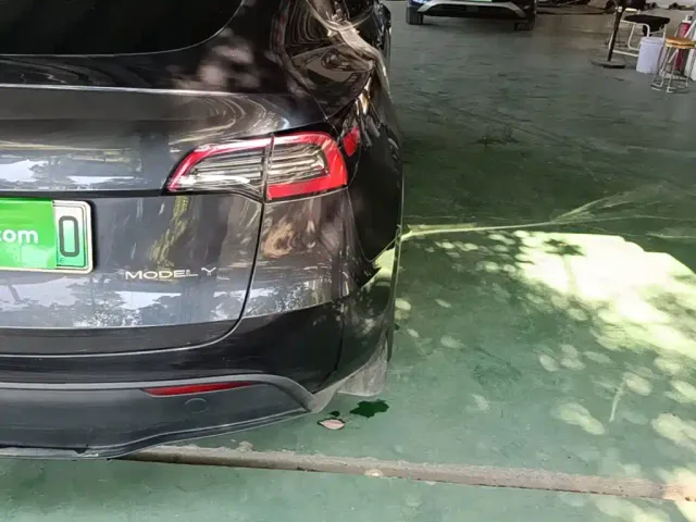 Tesla Model Y — Фото автомобиля 7