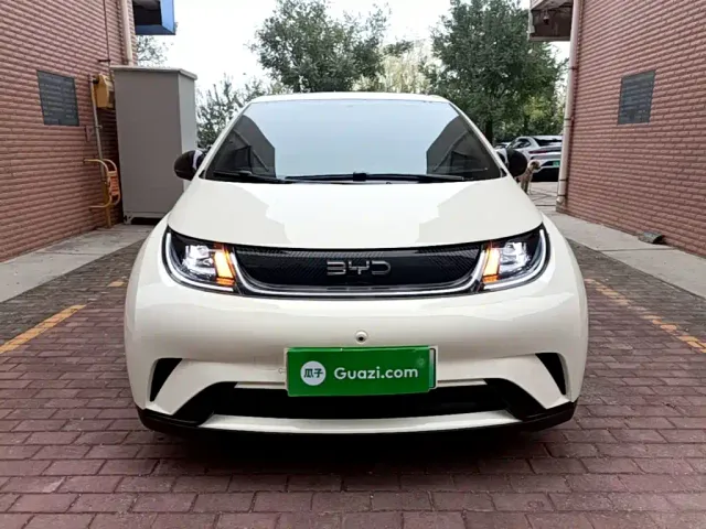 BYD Dolphin — Фото автомобиля 2