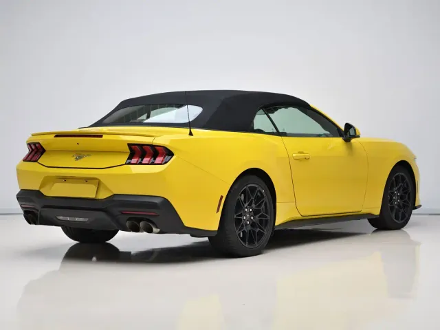 Ford Mustang — Фото автомобиля 6