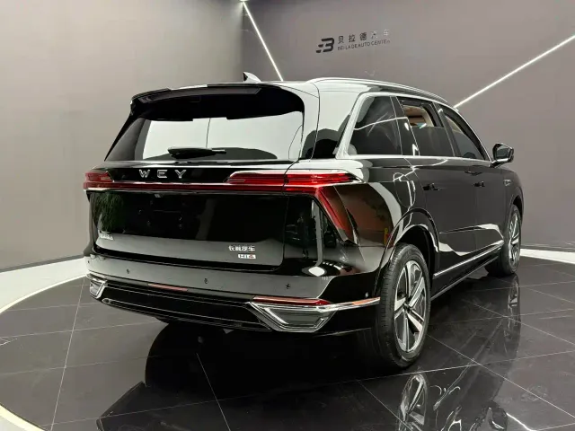 Wey Lanshan — Фото автомобиля 3