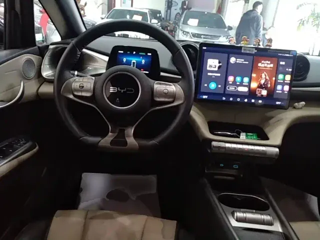 BYD Dolphin — Фото автомобиля 10