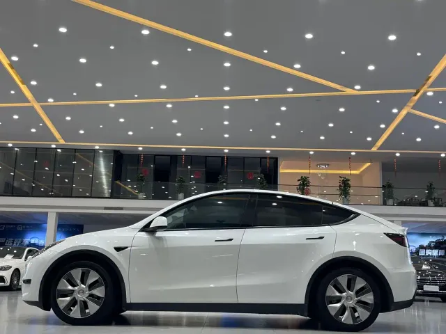 Tesla Model Y — Фото автомобиля 5
