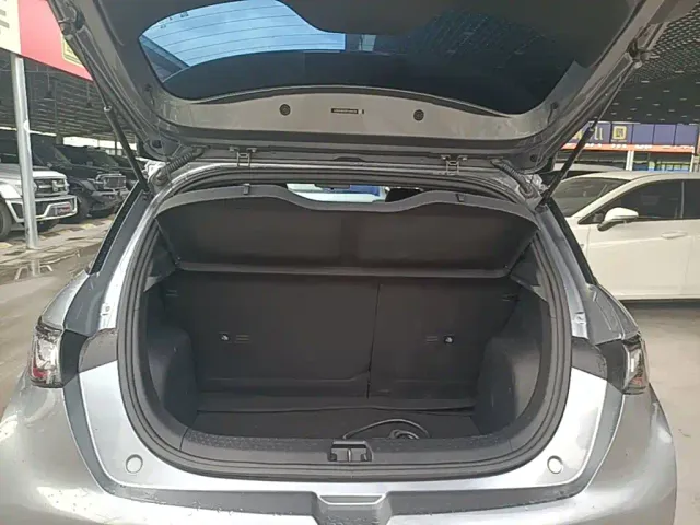 BYD Dolphin — Фото автомобиля 18