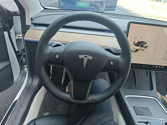 Tesla Model 3 — Фото автомобиля 10