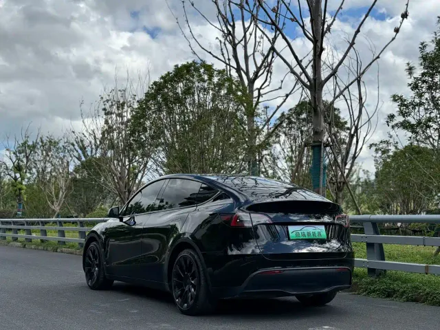Tesla Model Y — Фото автомобиля 17
