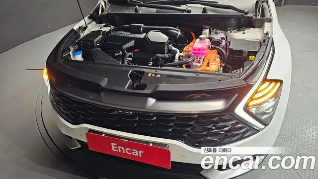 Kia Sportage — Фото автомобиля 6