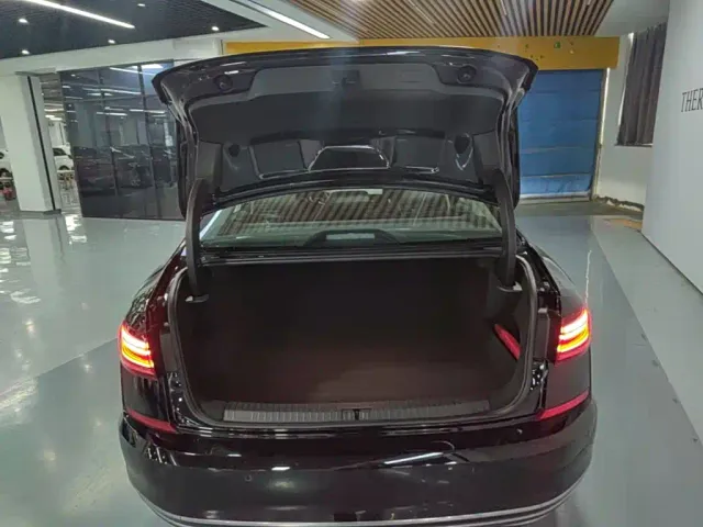 Volkswagen Passat — Фото автомобиля 18