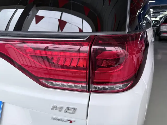 GAC Trumpchi M8 — Фото автомобиля 19