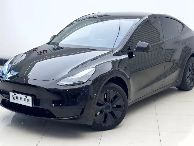 Tesla Model Y — Фото автомобиля 2