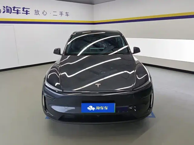 Tesla Model Y — Фото автомобиля 2