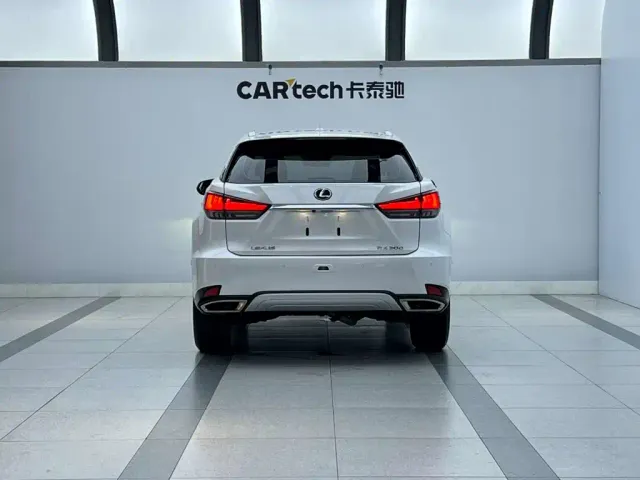 Lexus RX — Фото автомобиля 13
