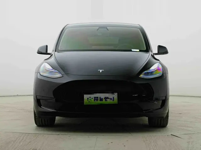 Tesla Model Y — Фото автомобиля 3