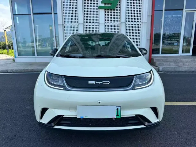 BYD Dolphin — Фото автомобиля 2
